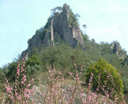 丽水明天天气