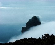 金秀明天天气